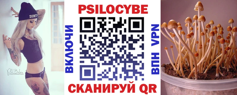 купить наркотик  Свирск  Галлюциногенные грибы GOLDEN TEACHER 